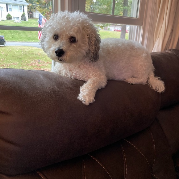 Like this! Live jewelry show notification! - Picture 12 of 12